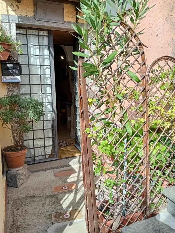 B&B Bellavista Bagnoregio Bagian luar foto