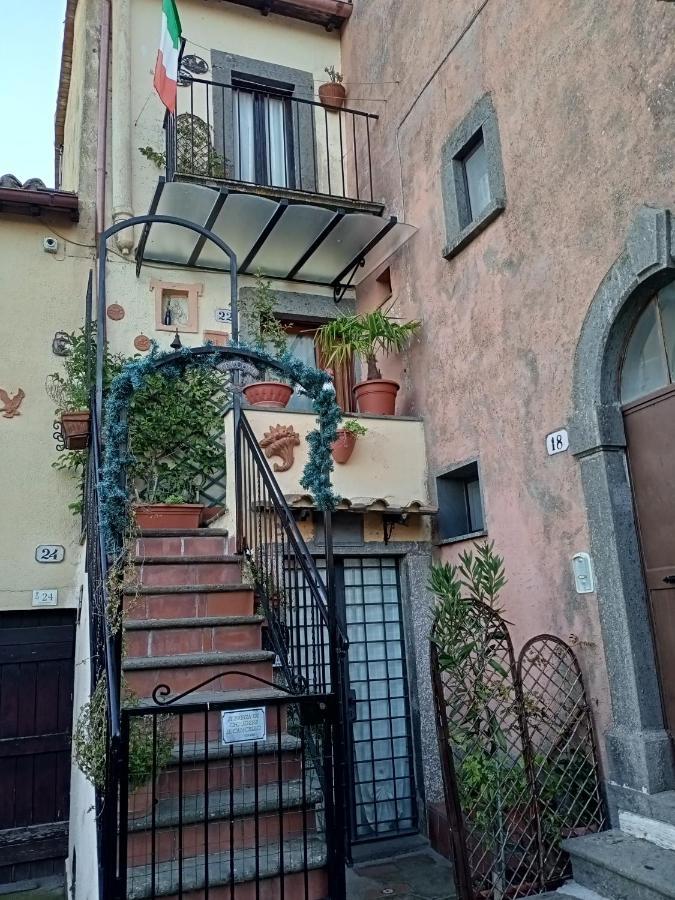 B&B Bellavista Bagnoregio Bagian luar foto