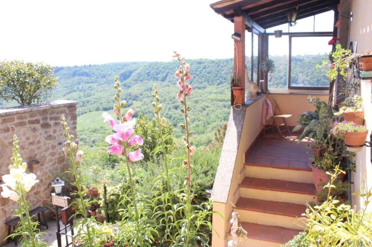 B&B Bellavista Bagnoregio Bagian luar foto